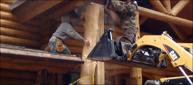 Log Home Log Replacement  Martinsville City, Virginia