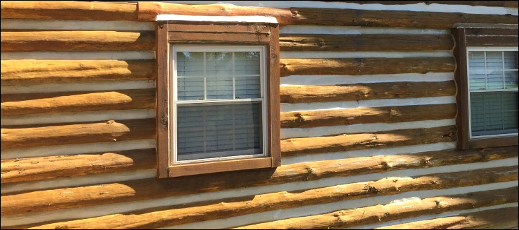 Log Home Whole Log Replacement  Martinsville City, Virginia