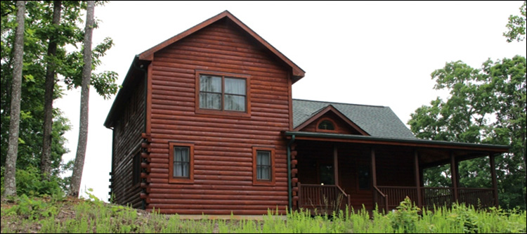 Professional Log Home Borate Application  Martinsville City, Virginia